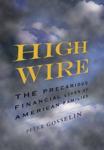 high wire the precarious financial lives of american families Epub